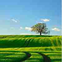 排​名​的​函‌数﻿怎‌么‌做​